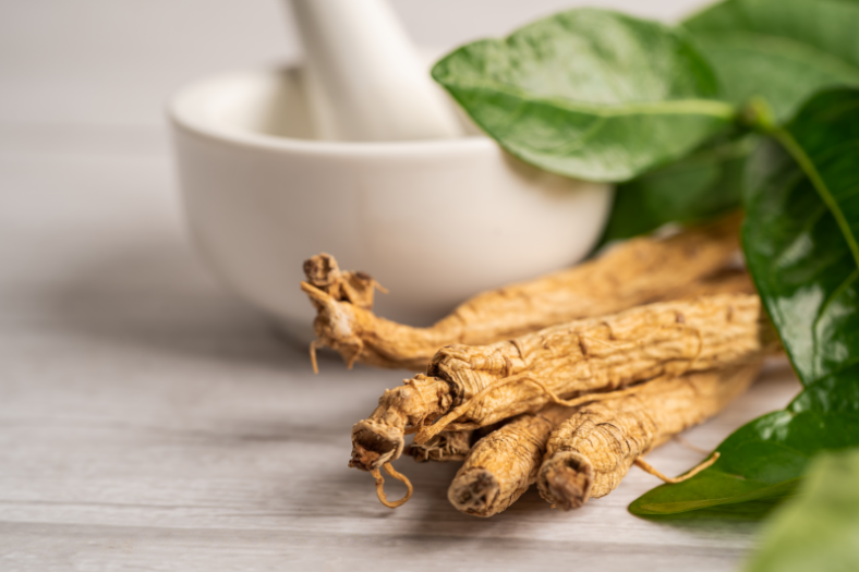 Adaptogene-ginseng.png Drei getrocknete Wurzeln liegen auf einem Tisch mit einem Mörser und frischen Blättern im Hintergrund.